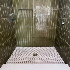 Read more about the article Retro Master Shower